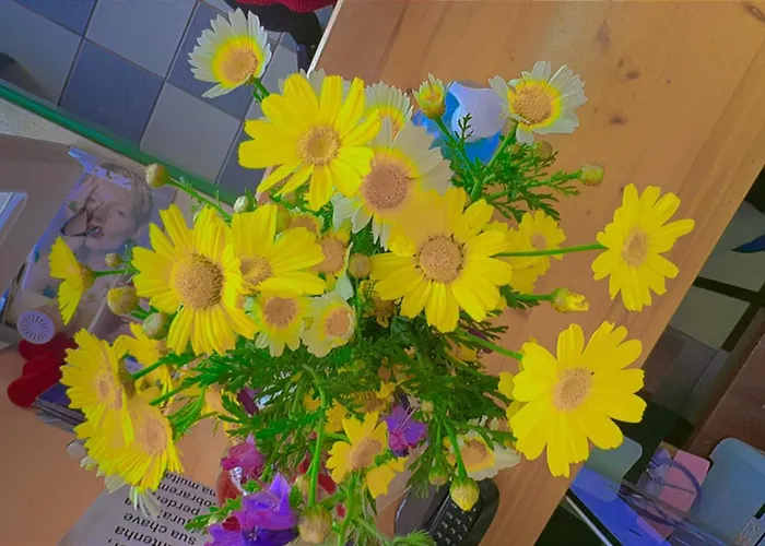 Apartment Lagos Central Hostel