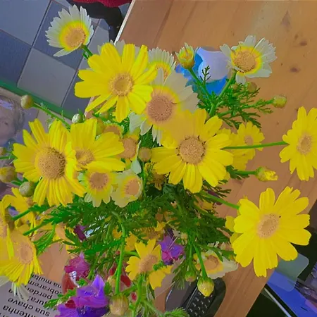 Appartement Lagos Central Hostel